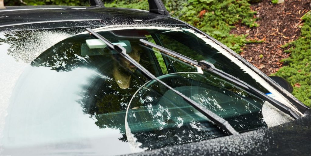  Best Swap Wipers 